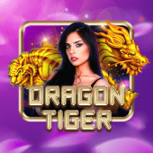 Dragon Tiger live dealer table