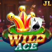 Wild Ace real game
